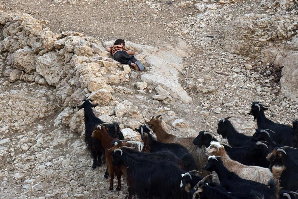 نمایی از فیلم «ایرو»