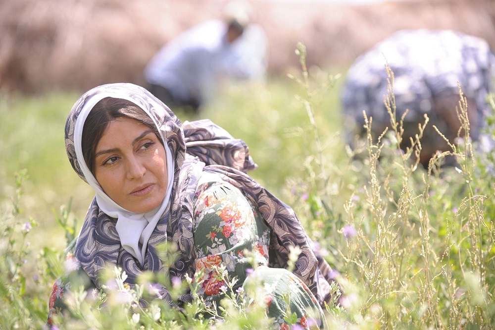 زمان پخش فیلم شیار 143 از تلویزیون (30 آبان 1404)