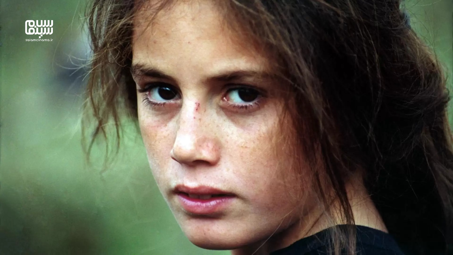 فلسفه‌ شر و رنج در فیلم لاک‌پشت‌ها هم پرواز می‌کنند (بهمن قبادی) | کودکی در لبه نیستی