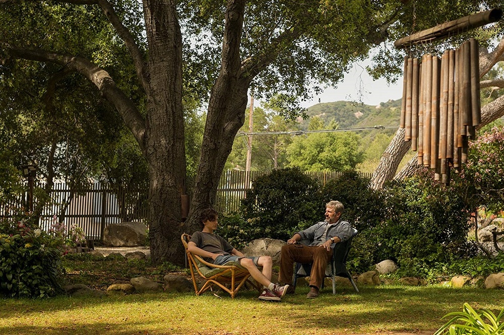 استیو کارل و تیموتی شلمی در نمایی از فیلم سینمایی «پسر زیبا» (Beautiful Boy)