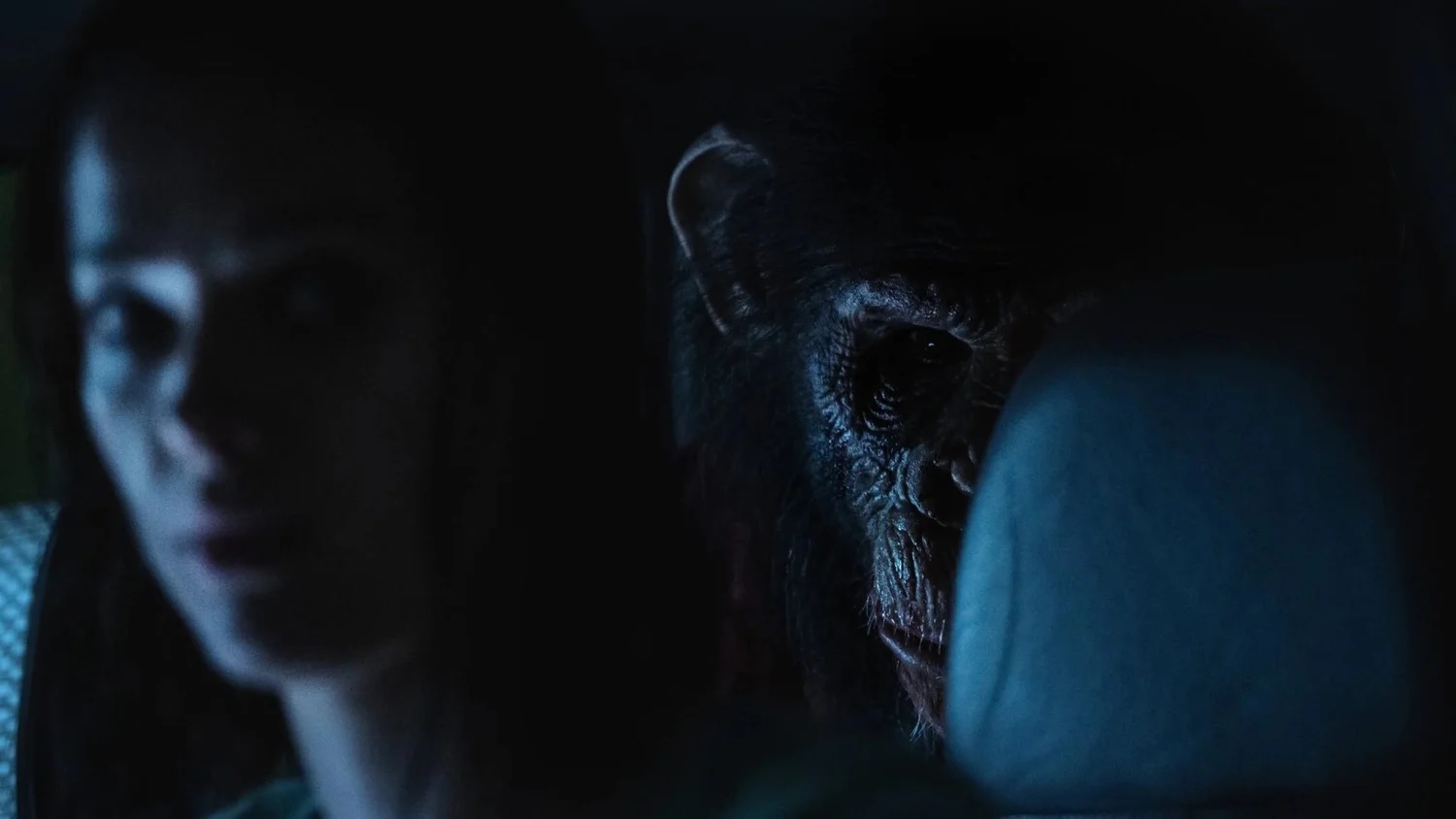 نقد و بررسی فیلم Primate | اثری قابل پیشبینی و بدون انسجام