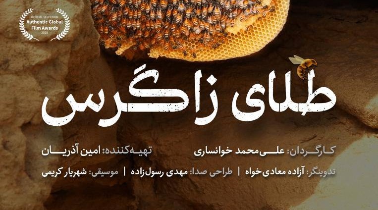 «طلای زاگرس»؛ درخشش مستند ایرانی در جشنوارههای بینالمللی