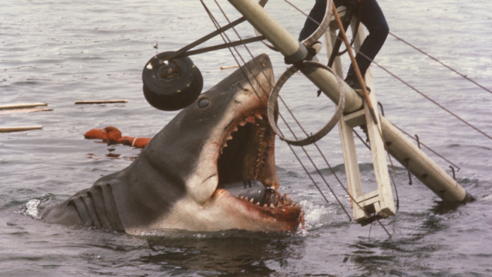مستند جدید Jaws با نمایش صحنه‌های دیده‌نشده به مناسبت پنجاهمین سالگرد فیلم منتشر شد