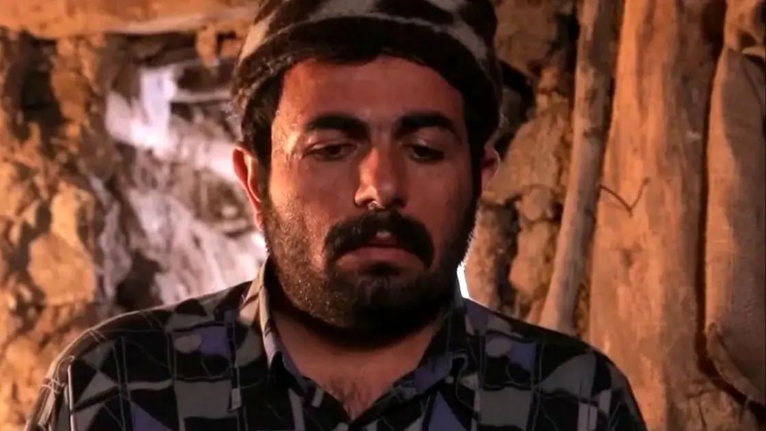 «برزو جوان» 7 سال بعد سریال آنام در فرانسه؛ سال 1403