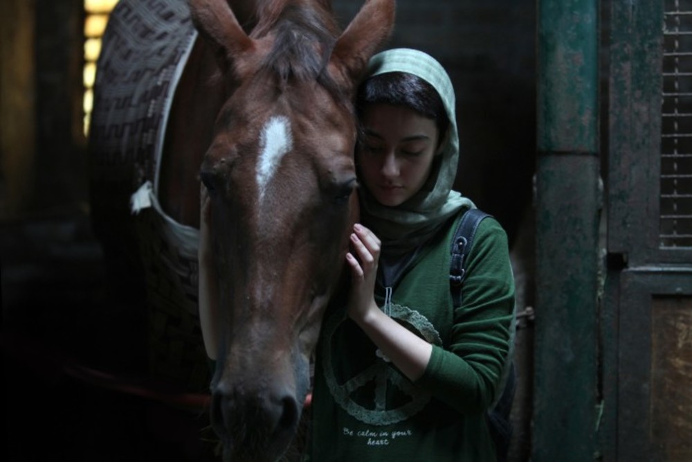 نگار مقدم در نمایی از فیلم سینمایی «دِرِساژ»(Dressage)