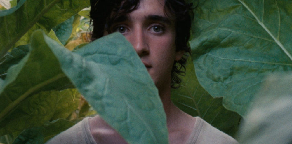 آدریانو تاردیولو در فیلم «لازاروی خوشحال» (Happy as Lazzaro)