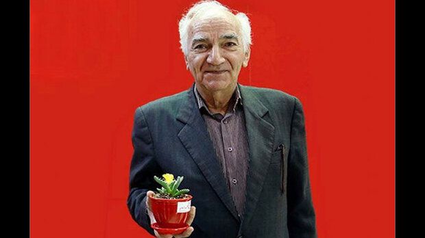 بازی بنفشه‌خواه در سریالی درباره جنگ ۱۲ روزه؛ رویا افشار مادر شهید شد