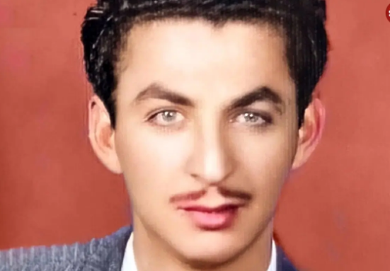 سفر در زمان؛ دیدار «همایون و منصور سپهرنیا» در 82 و 89 سالگی؛ سال 98