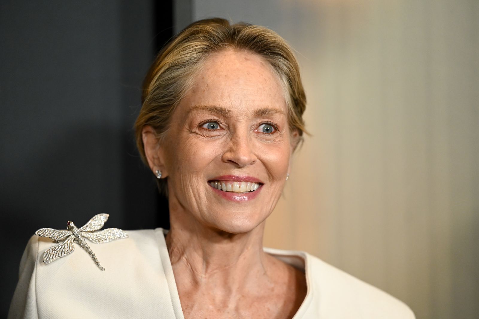 حمایت شارون استون از سیدنی سوئینی در ماجرای تبلیغ جنجالی برند آمریکن ایگل