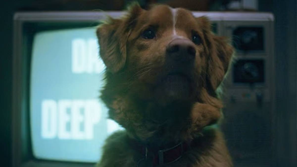 نقد فیلم Good Boy: اثر ترسناک حیوان‌محور که فراتر از تبلیغات خود ظاهر نمی‌شود