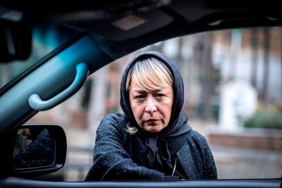 لاک پشت به سینماها می آید