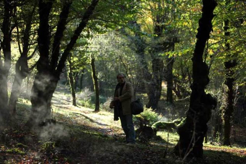 فیلم سینمایی فردا