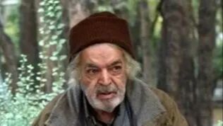 ماجرای آش فروشی حمید لولایی و بابا پنجعلی سریال پایتخت در پارک لاله تهران