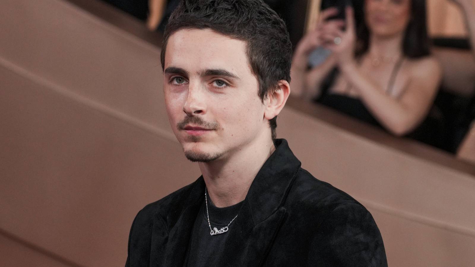 تیموتی شالامی و جسورانه‌ترین نقش دوران کاری‌اش