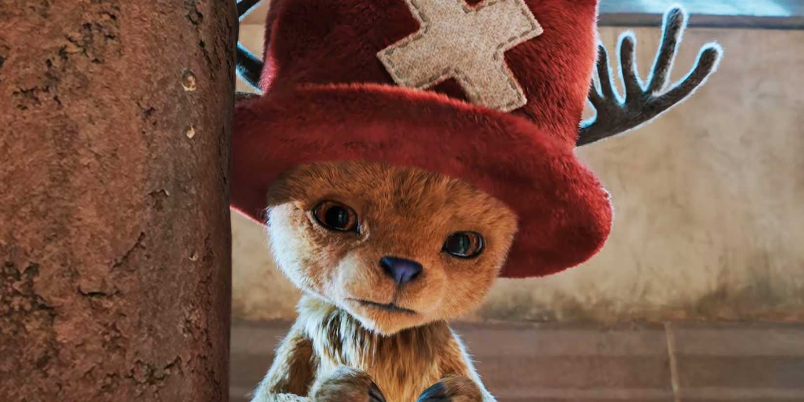 تاریخ انتشار فصل دوم وان پیس در نتفلیکس رسماً اعلام شد