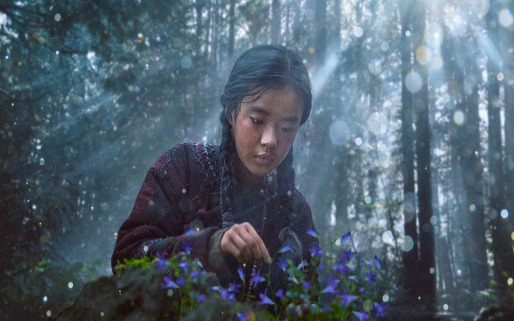 Kingdom: Ashin of the North