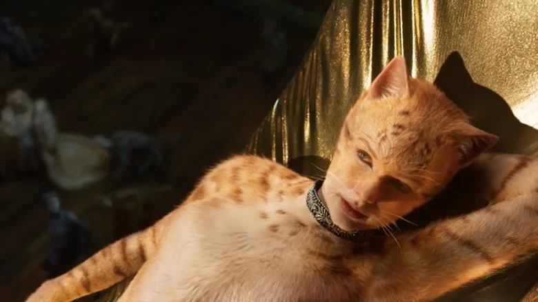 تیلور سویفت درباره شکست تجاری Cats گفت