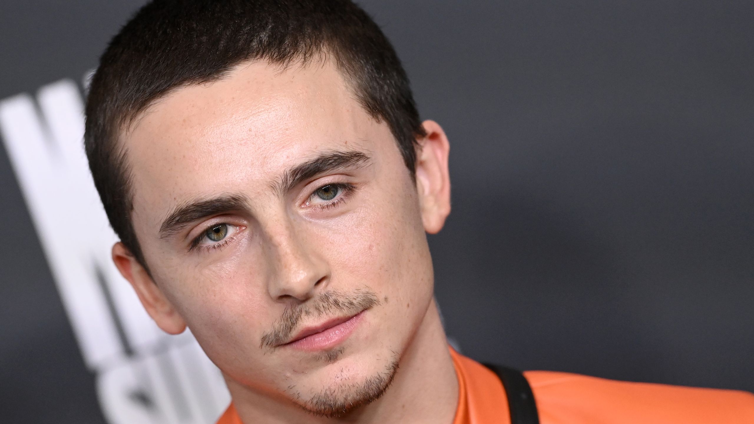 تیموتی شالامی: سوزان بویل یکی از بزرگ‌ترین چهره‌های فرهنگی بریتانیا است