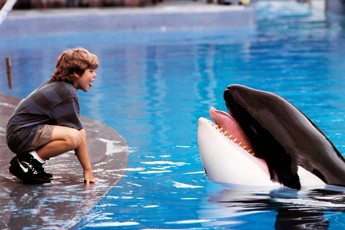 بازگشت نهنگ محبوب به پرده نقره‌ای؛ Free Willy با تیم برادران روسو بازسازی می‌شود