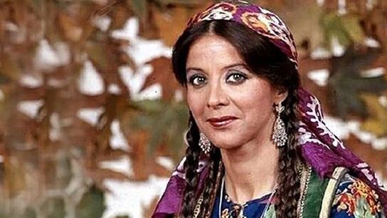 در گذر زمان؛ ژست عکس انداختن ستاره‌های دهه پنجاه، فرزانه تاییدی و فریدون فرخزاد