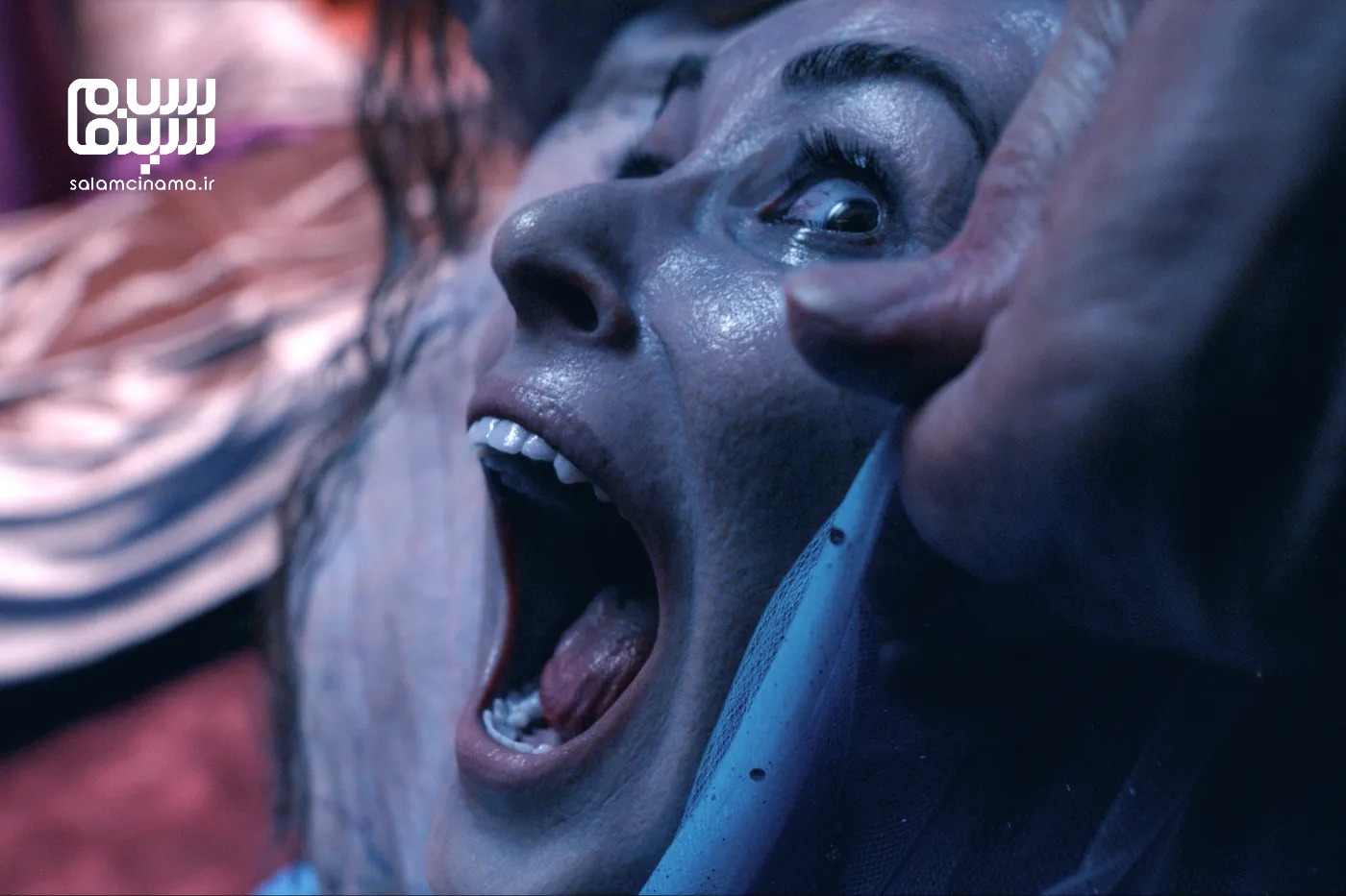 تعریف زیرگونه هراس جسمانی (Body Horror) از ژانر وحشت و بررسی خاستگاه آن؛ ملموس‌ترین زیرگونه