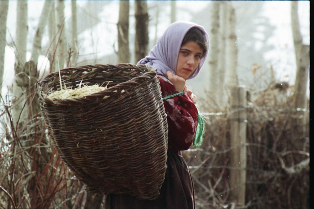 فیلم «مرثیه برف»