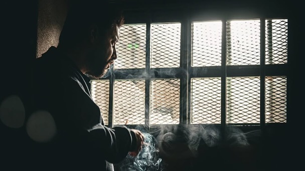 تریلر قسمت پنجم سریال وحشی