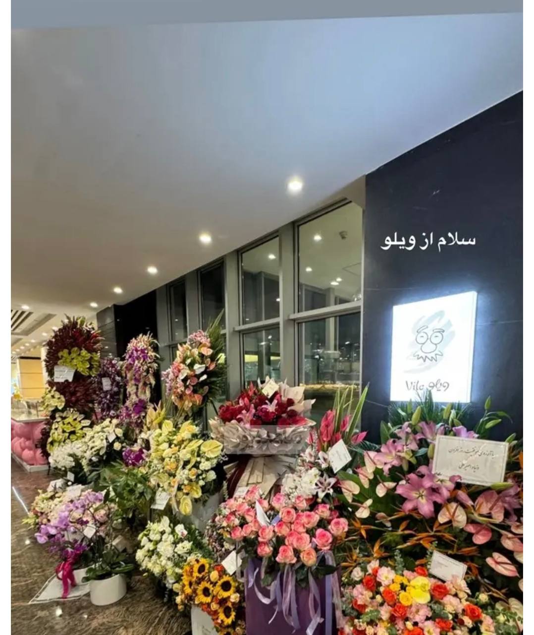 قاب سینما | شیوا، رستوران لاکچری مینا و بهرام رادان و مدل شدن آرام جعفری