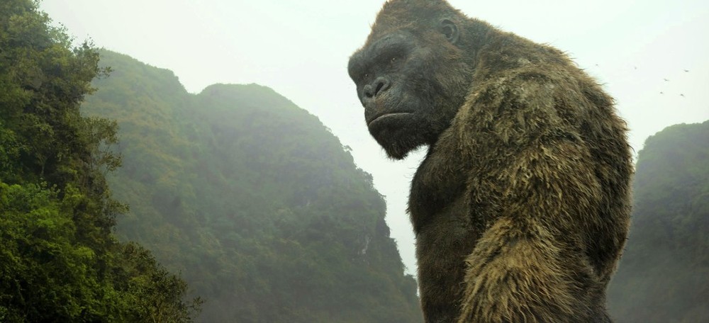 نمایی از فیلم «کونگ: جزیره جمجمه»(Kong: Skull Island)