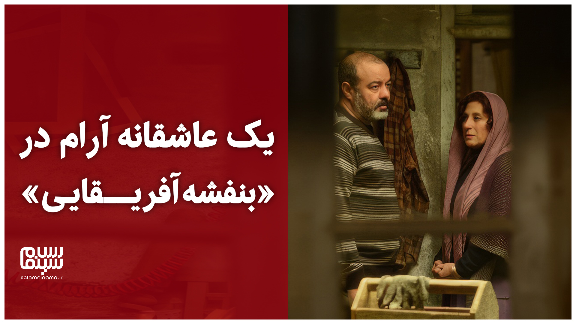 یک عاشقانه آرام در «بنفشه آفریقایی» | ویدیو