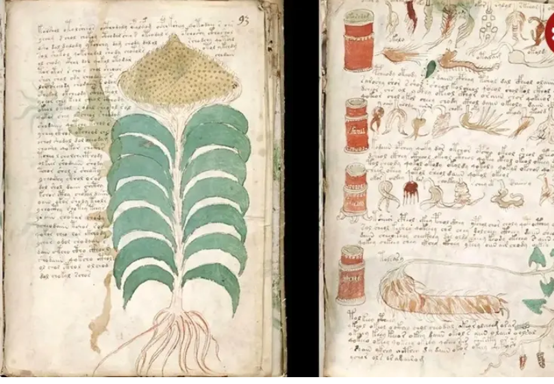 ادعای تازه دربارۀ «مرموزترین کتاب جهان»؛ یک رمزنگاری قرون وسطایی؟