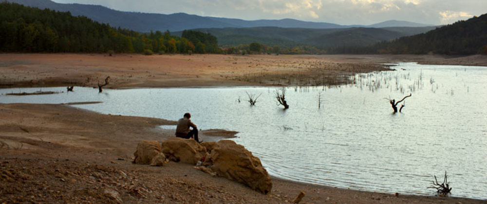 «درخت گلابی وحشی»(The Wild Pear Tree)