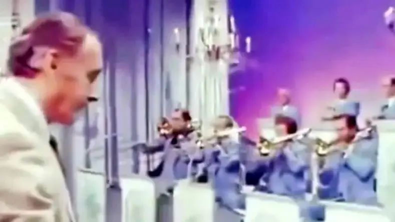 آواز فوق العاده؛ هیچوقت فکرشو نمیکردم آهنگ کارتون پلنگ صورتی انقدر نوازنده داشته باشه