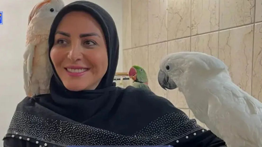 آلبوم تولد المیرا شریفی مقدم خانم مجری صدا و سیما