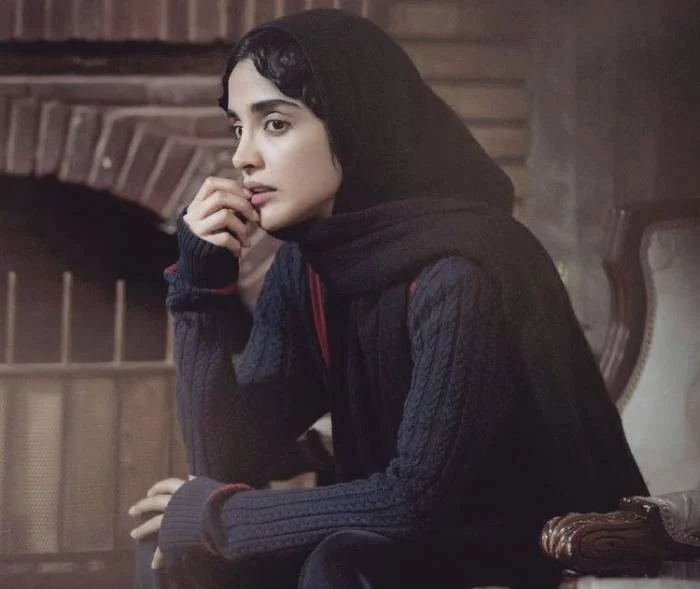 الهه حصاری در سینما و تلویزیون