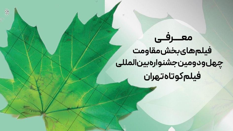 اعلام فیلم‌های مقاومت جشنواره فیلم کوتاه تهران
