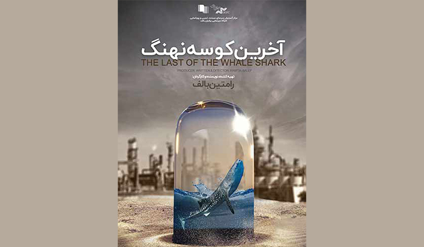 آخرین کوسه نهنگ برنده جایزه ویژه شانگهای